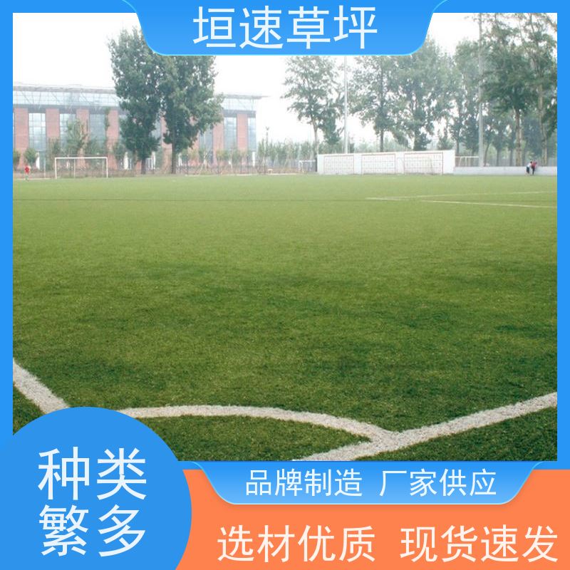 垣速 门球场地设施 隔热塑料草皮 景观仿真草坪 门球场草坪色彩丰富