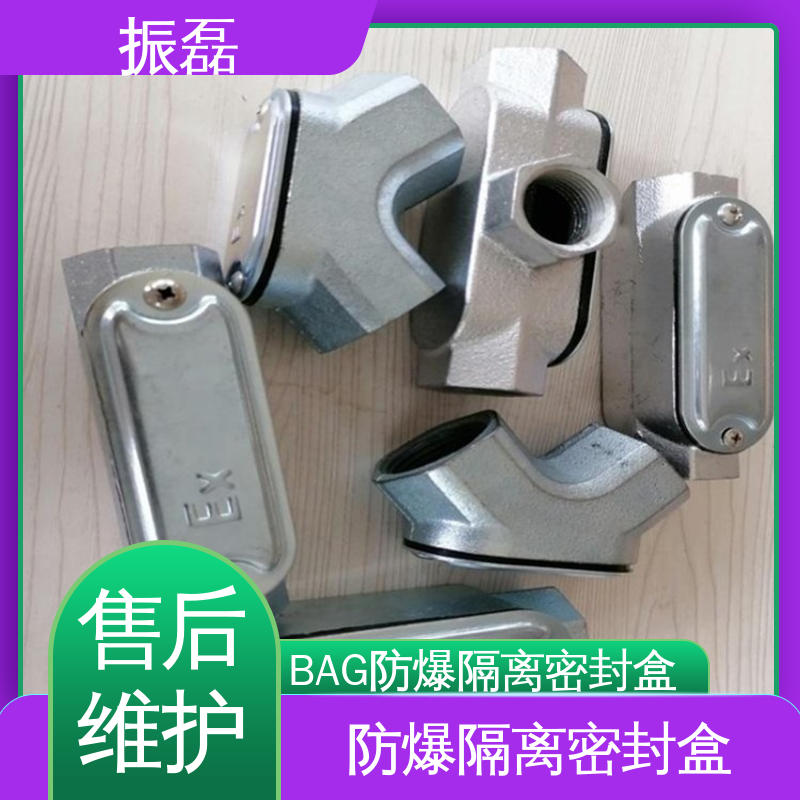振磊 Y型管螺纹连接头 BCG 不锈钢防爆隔离密封盒 排水型厂家直供
