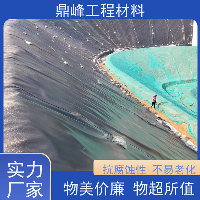 鼎峰 土工膜生产厂家 耐腐蚀 热稳定性好不易变形