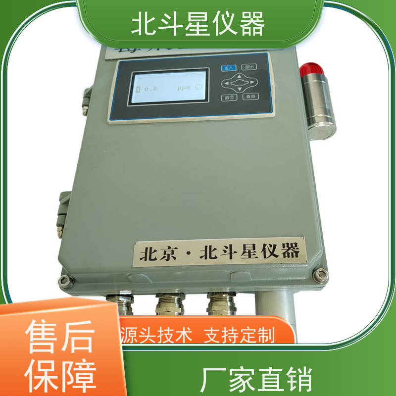 北斗星仪器 游乐场安全防护用毒剂毒气检测仪 数据准确 精度高