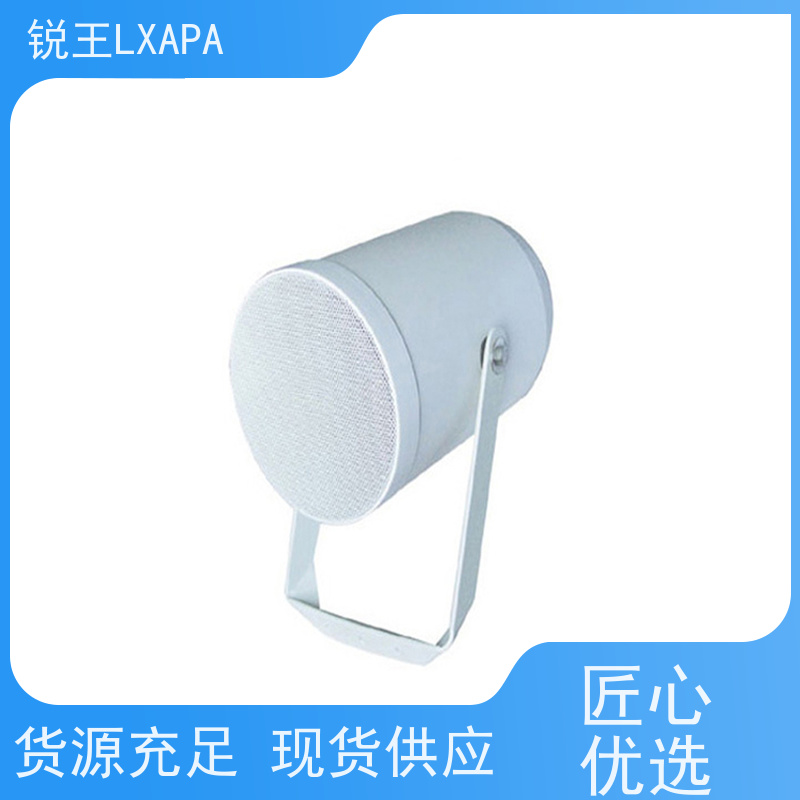 锐王LXAPA 咖啡厅超市店铺 隐藏式天花喇叭 室外组合音响