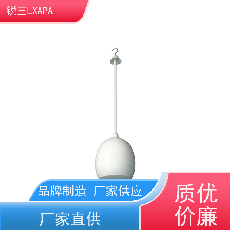 锐王LXAPA 壁挂音响 店铺背景音乐广播系统设备 隐藏式天花喇叭