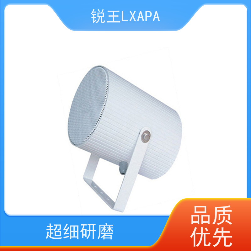 锐王LXAPA 防水天花喇叭 广播系统设备 公园户外音箱