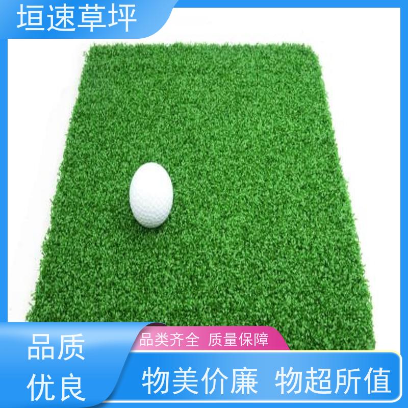 垣速 门球场地设施 户外人工草坪 羽毛球场草坪环保耐磨 仿真草坪保温