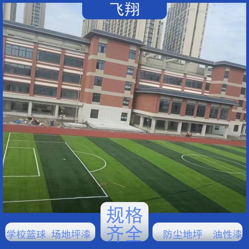 惠州柏塘 大亚湾 杨侨篮球场地坪漆 学校运动地面材料施工 应用范围广