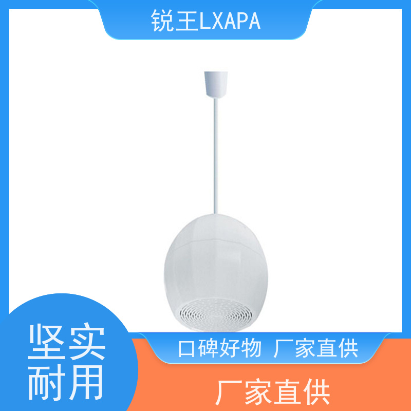 锐王LXAPA 商场背景音乐系统 吊顶喇叭 公共广播音响