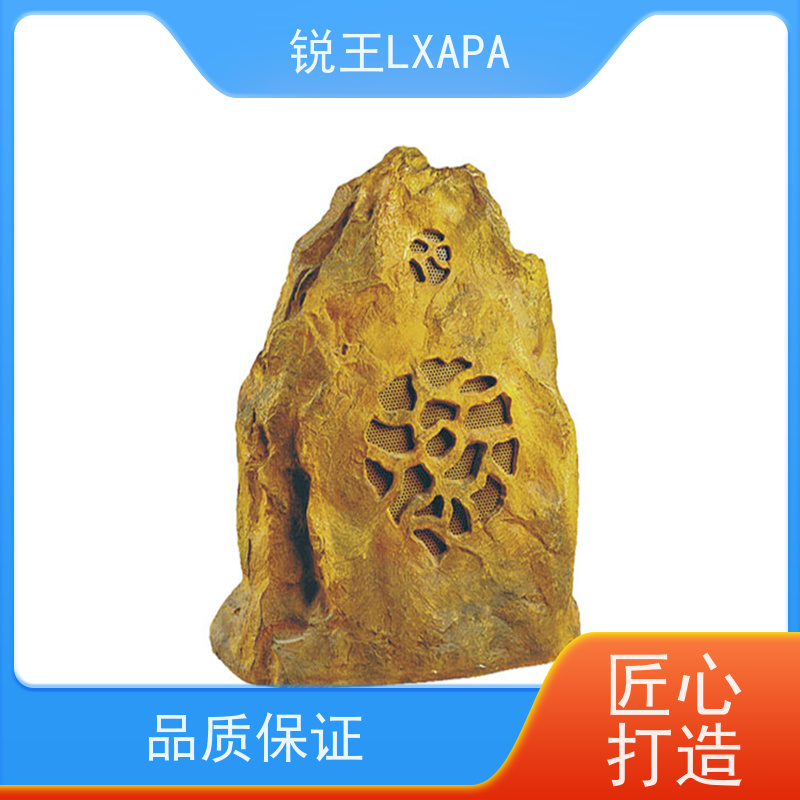锐王LXAPA 实力工厂 环保草地音箱 教室壁挂喇叭