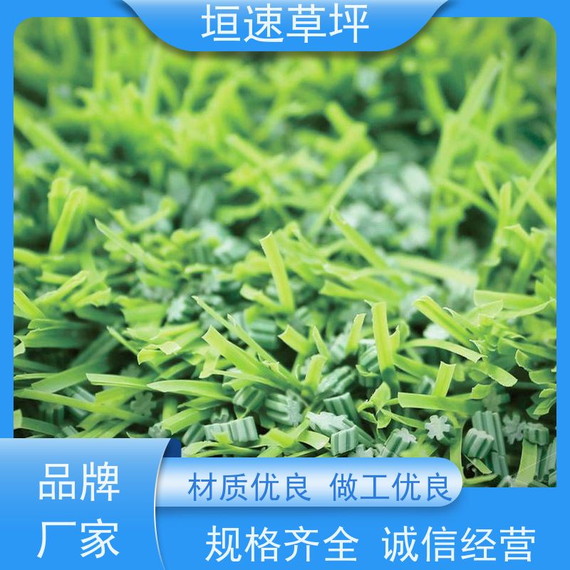 垣速 仿真塑料草坪 门球场草坪色彩丰富 门球场地设施 人工草坪绿化