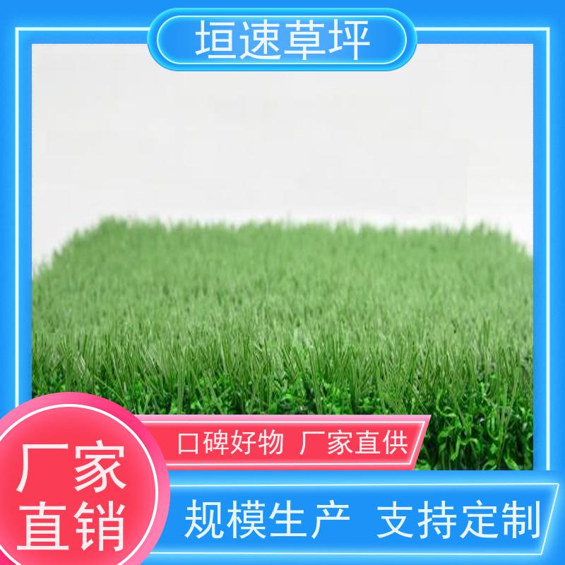 垣速 门球场草坪色彩丰富 人工假草皮 建造足球场供应商 绿化隔热草皮