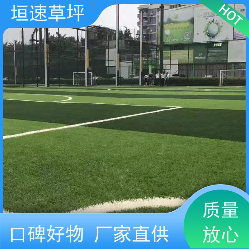 垣速 足球场塑料草坪回弹率好 门球场地设施 绿化隔热草皮 绿化假草皮