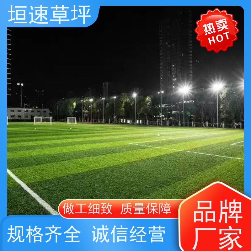 垣速 足球场地面材质 人造塑胶草坪 人造草坪地垫 网球场草坪回弹率好