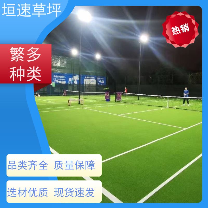 垣速 门球场仿真草环保耐磨 绿化假草皮 门球场地设施 室外塑料草坪