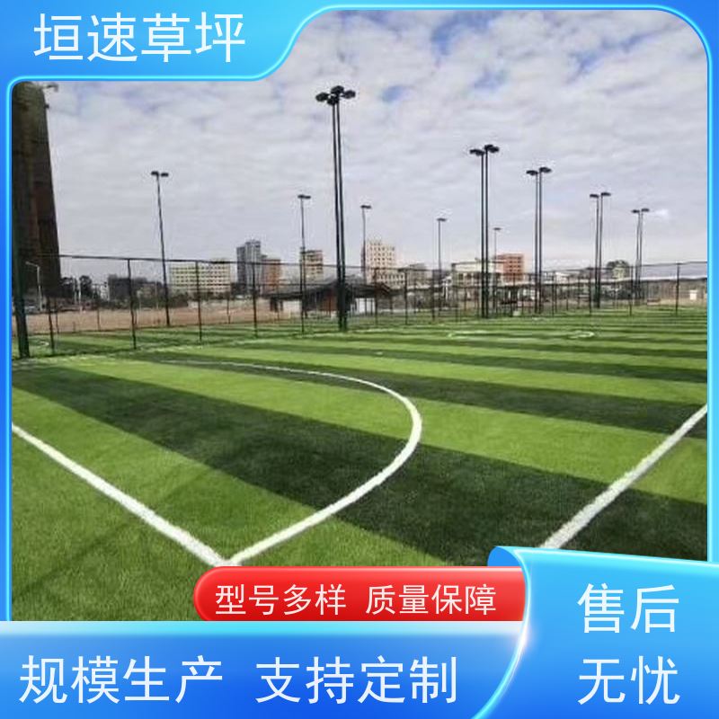 垣速 门球场地设施 室外塑料草坪 塑料仿真草坪 网球场仿真草坪新国标