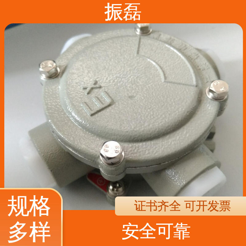 防腐等级WF2 防爆吊灯盒 BHC AC 管螺纹可定制 振磊