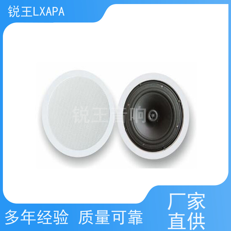 锐王LXAPA 数字远程寻址音箱 源头厂家 天花喇叭吸顶
