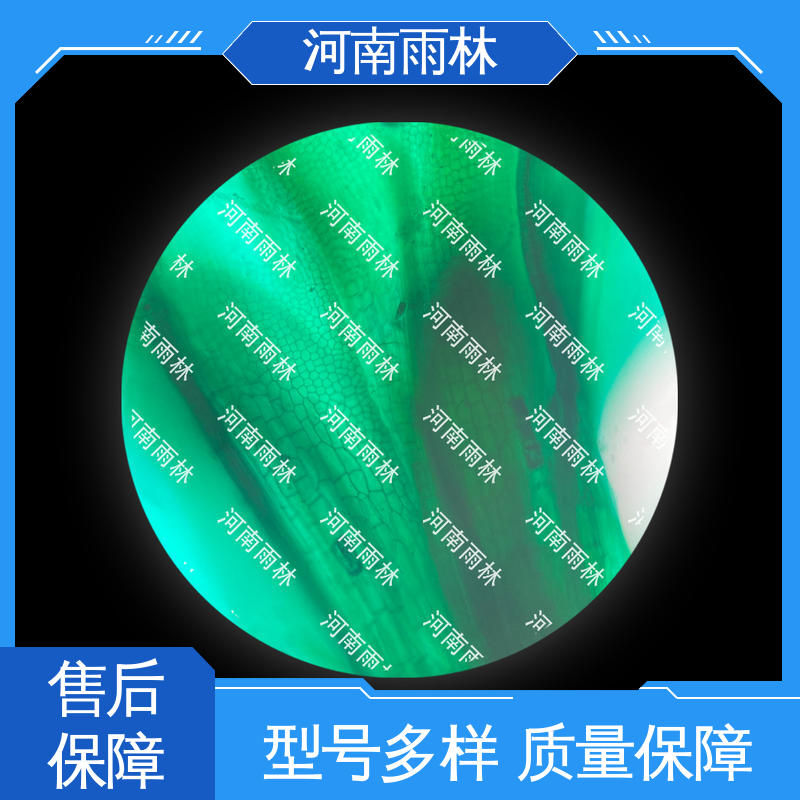 雨林 可后期加工 厂家销售 一对一质检 植物切片
