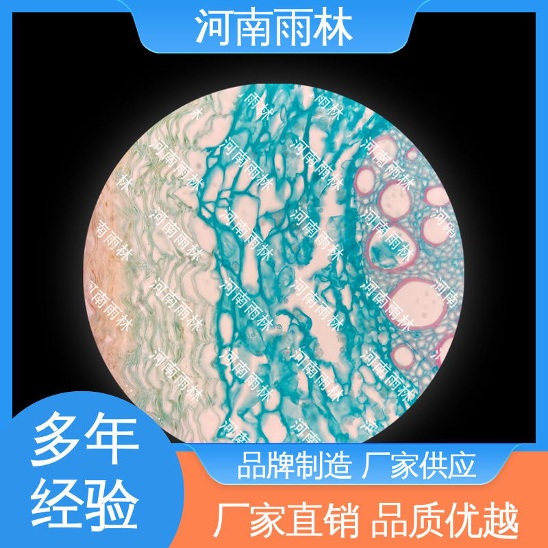可后期加工 源头工厂 质量保障 实验标本 雨林教育