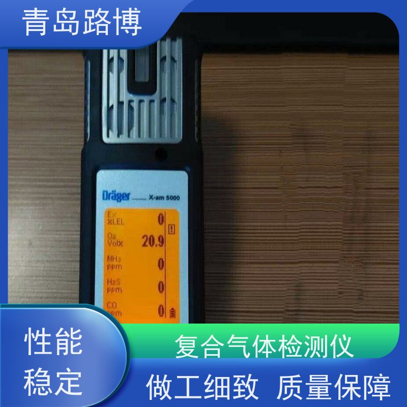  X-am5000 便携式复合气体检测仪 移动手机型设计 灵活简便