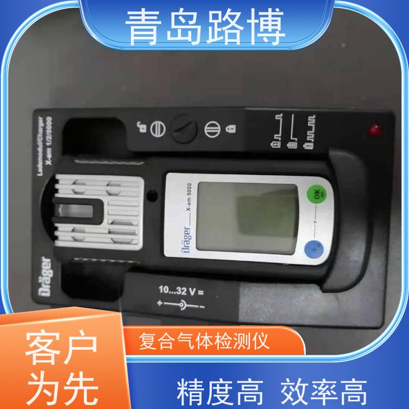  X-am5000 便携式复合气体检测仪 移动手机型设计 持久耐用