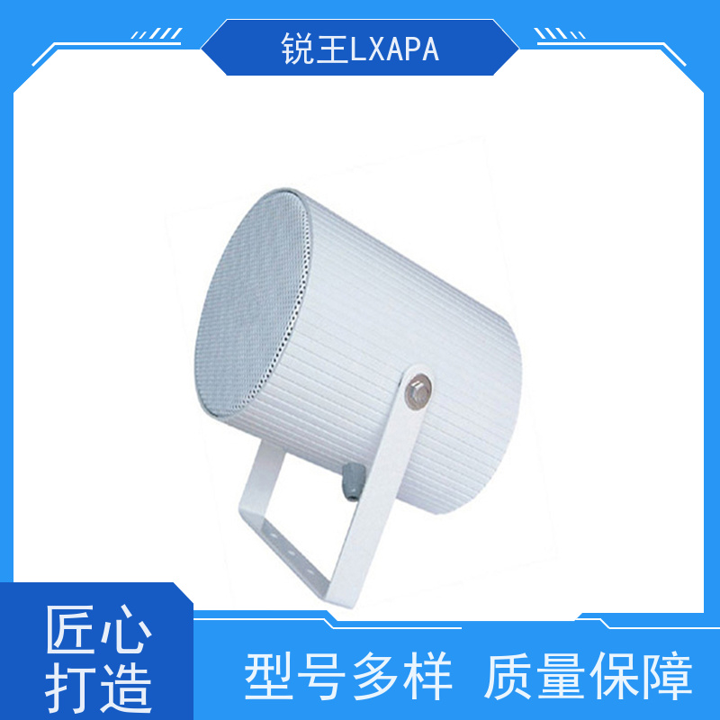 锐王LXAPA 餐厅背景音乐系统 户外音箱 教室壁挂喇叭
