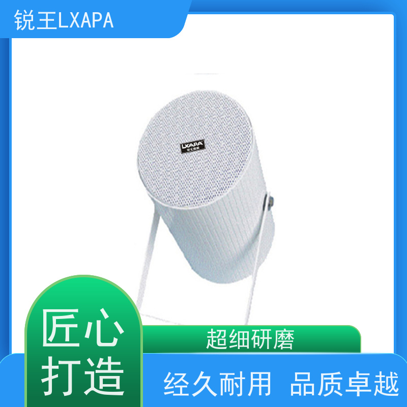 锐王LXAPA 公园景区广播系统 背景音乐音响 天花圆形喇叭