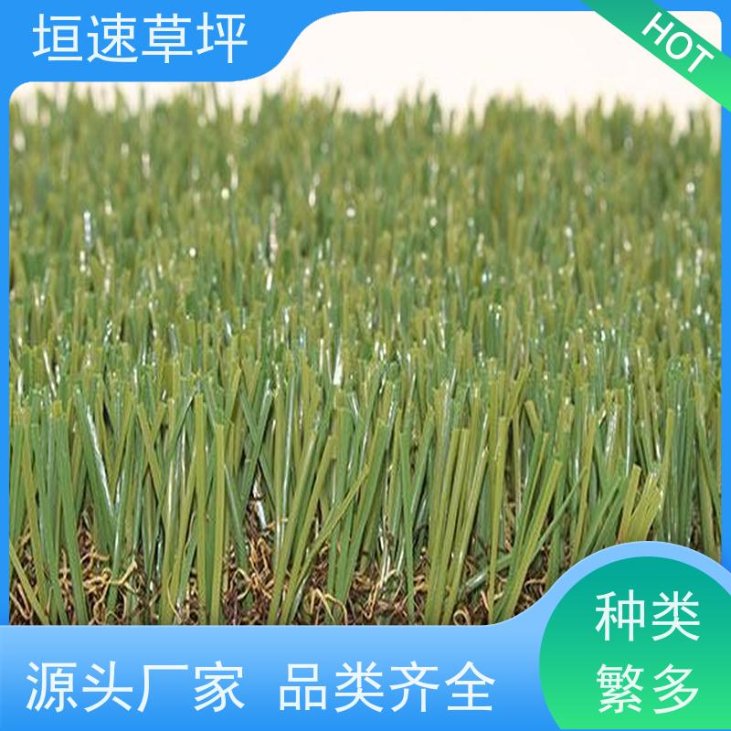 垣速 门球场地设施 绿化仿真草皮 仿真草皮草坪 门球场草坪色彩丰富