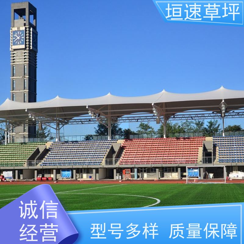 垣速 人造塑胶草坪 门球场地设施 仿真塑料草坪 橄榄球仿真草坪新国标