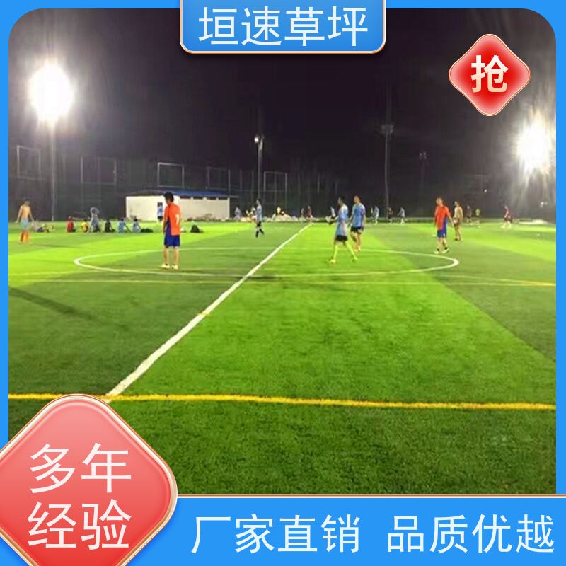 垣速 网球场草坪回弹率好 绿化假草皮 足球场施工供应商 景观塑料草坪