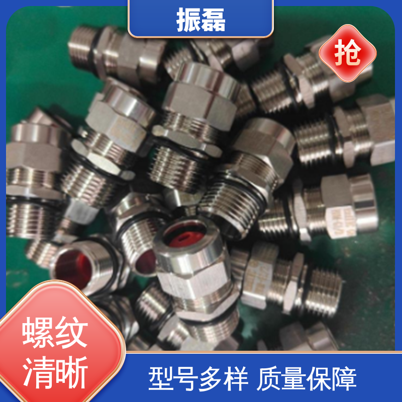 振磊 按需定制 BDM 铠装防爆格兰头 不锈钢材质IP65