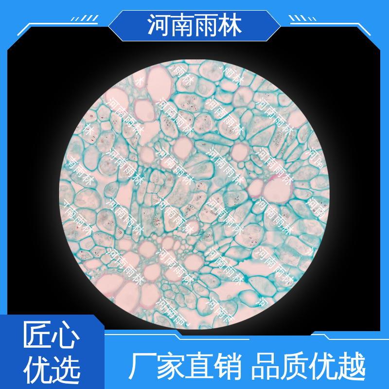 雨林教育 细胞清晰 病害标本 厂家销售 性价比高