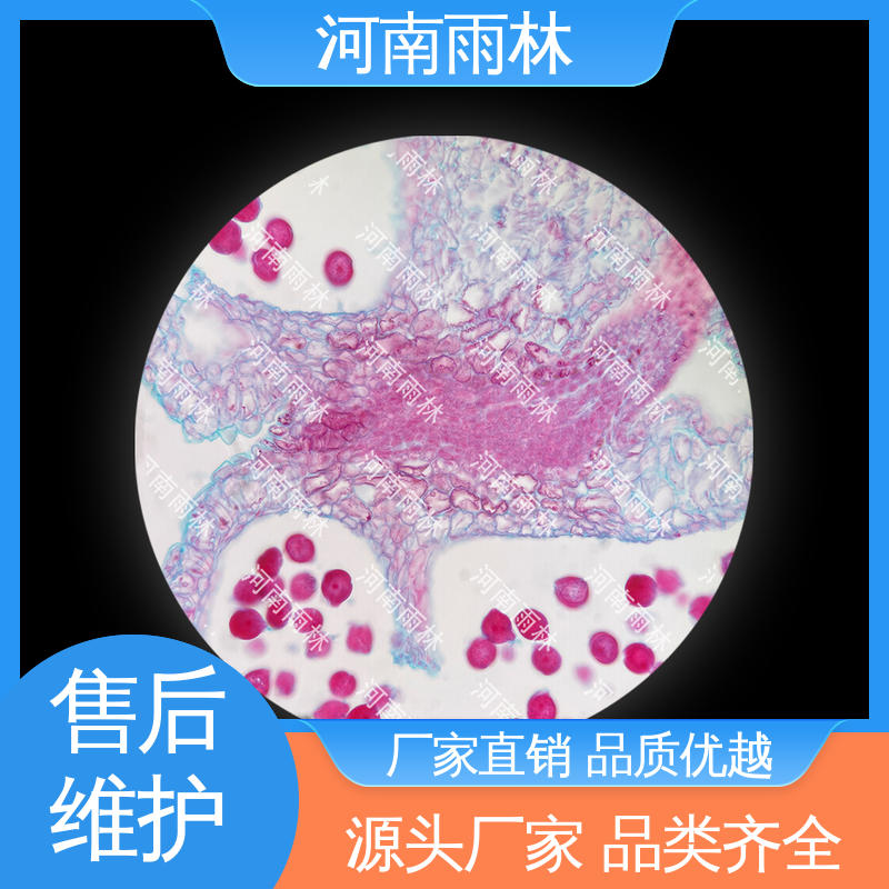 可后期加工 源头工厂 教学切片 质量保障 雨林教育