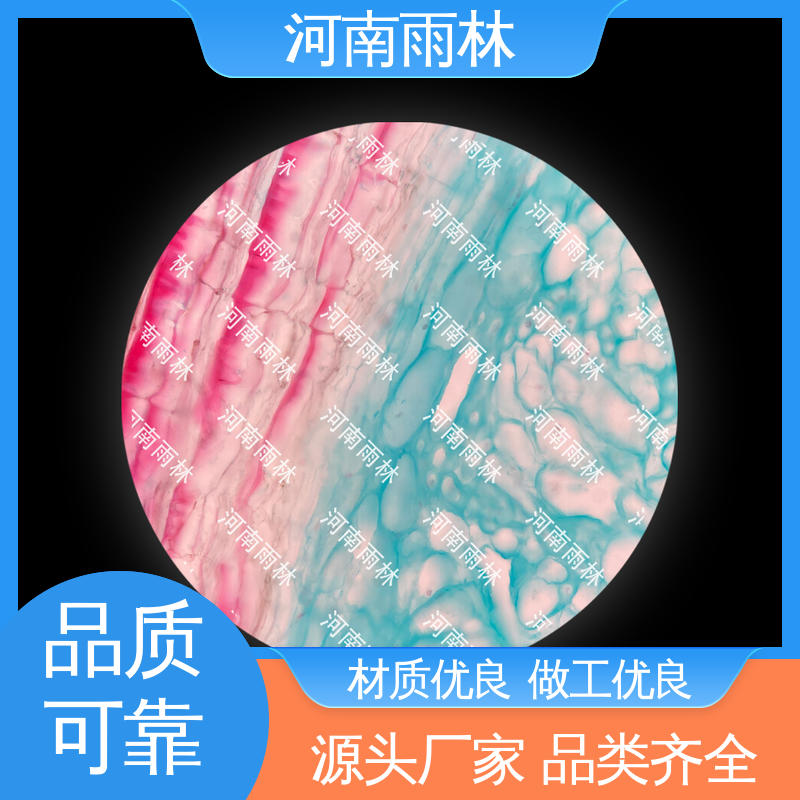 植物切片 细胞清晰 支持定制 可后期加工 雨林教育工程