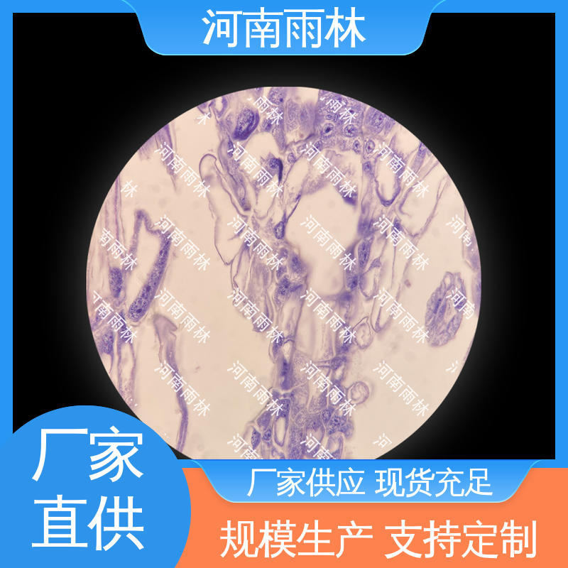 雨林教育工程 质量优 厂家销售 病害标本 一对一质检