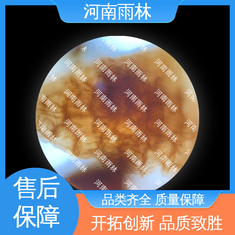 质量优 一对一质检 厂家销售 生物切片 雨林教育工程