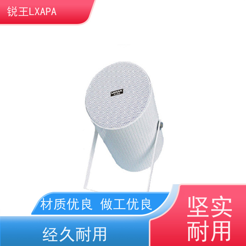 锐王LXAPA 校园公共广播系统 天花同轴喇叭 IP音箱