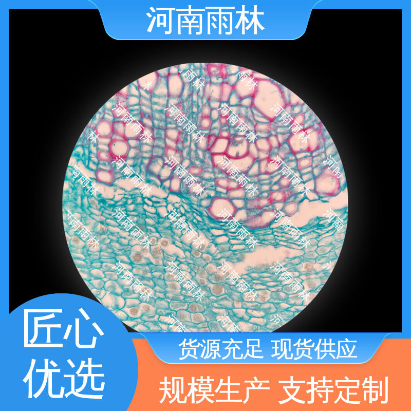 售后无忧 实验切片 质量保障 厂家销售 雨林教育