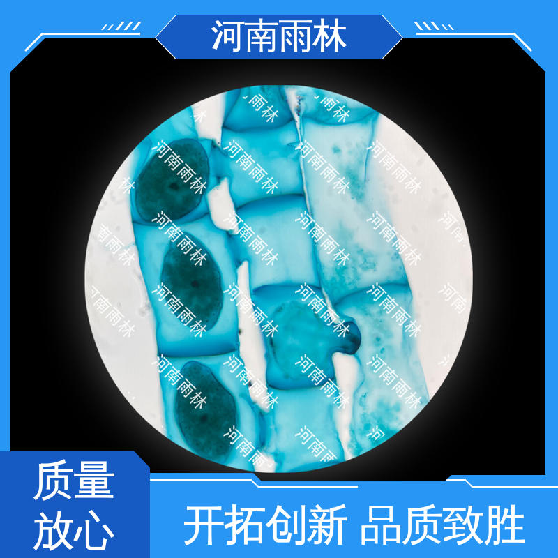 一对一质检 个性化定做 售后无忧 高等教育 雨林