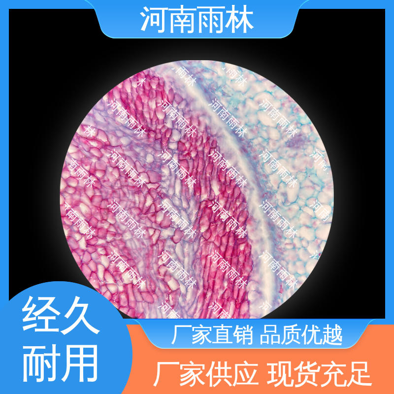 售后无忧 支持定制 细胞清晰 显微切片 雨林教育工程