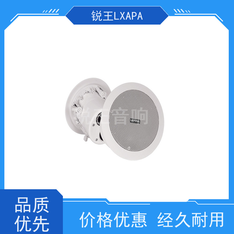锐王LXAPA 室内挂壁喇叭 背景音乐扩声系统设备 户外音箱