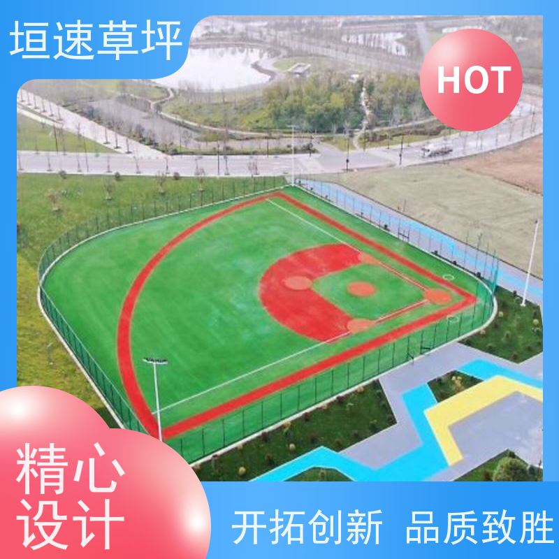 垣速 足球场用什么草坪 保温假草坪 景观假草皮 橄榄球仿真草坪新国标