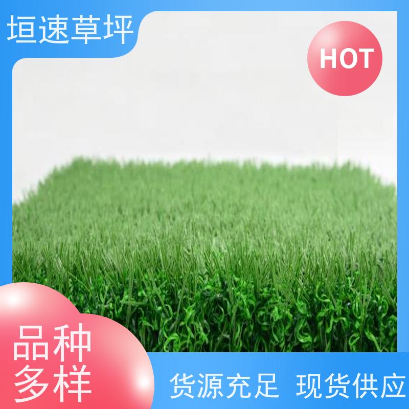 垣速 仿真草坪哪里有卖 网球场草坪回弹率好 绿化假草皮 屋面绿化草坪