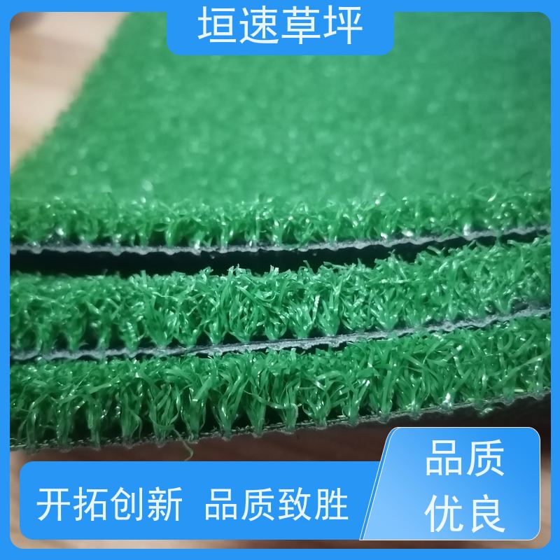 垣速 门球场草坪色彩丰富 塑料仿真草坪 足球场地面材质 景观塑料草坪