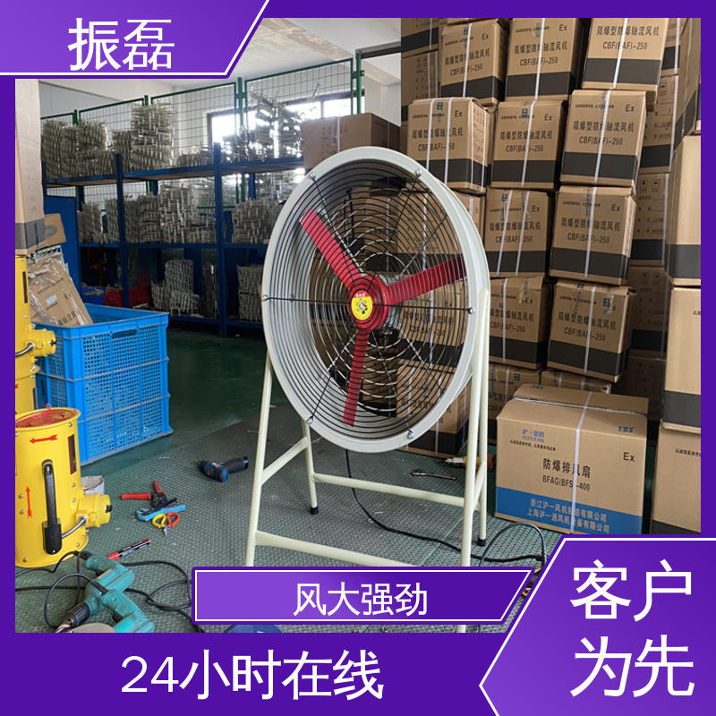 振磊 上门服务 T35-11 防爆轴流风机 工业厂房3c