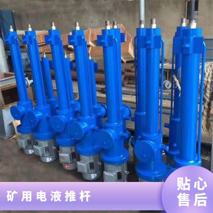 结构紧凑 性能平稳DYTP700-/110电液推杆整体直式型