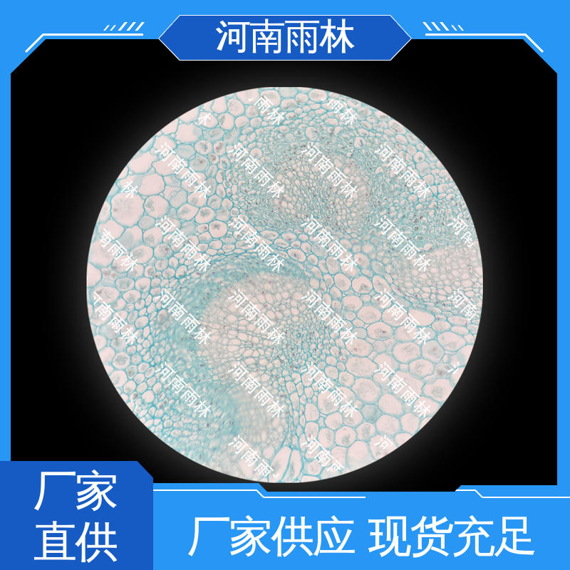 雨林教育工程 可定制 一对一质检 个性化定做 显微标本