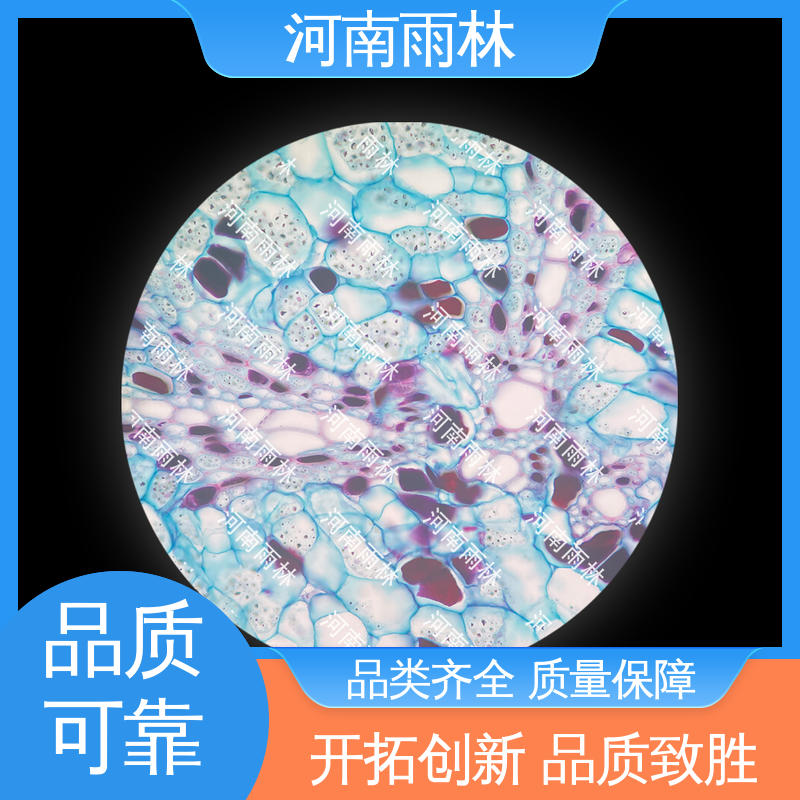 雨林教育工程 售后无忧 各类标本 源头工厂 颜色鲜亮