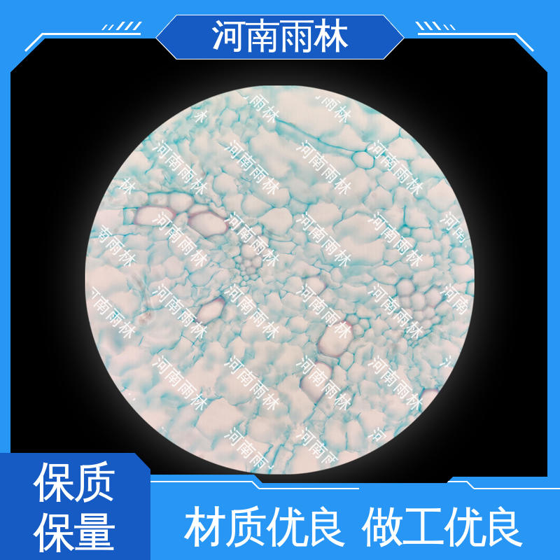 雨林教育 颜色鲜亮 可提供材料 教学切片 源头工厂