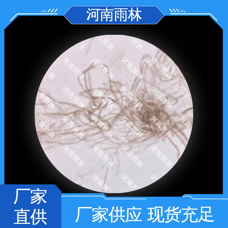 雨林 售后无忧 一对一质检 个性化定做 生物切片