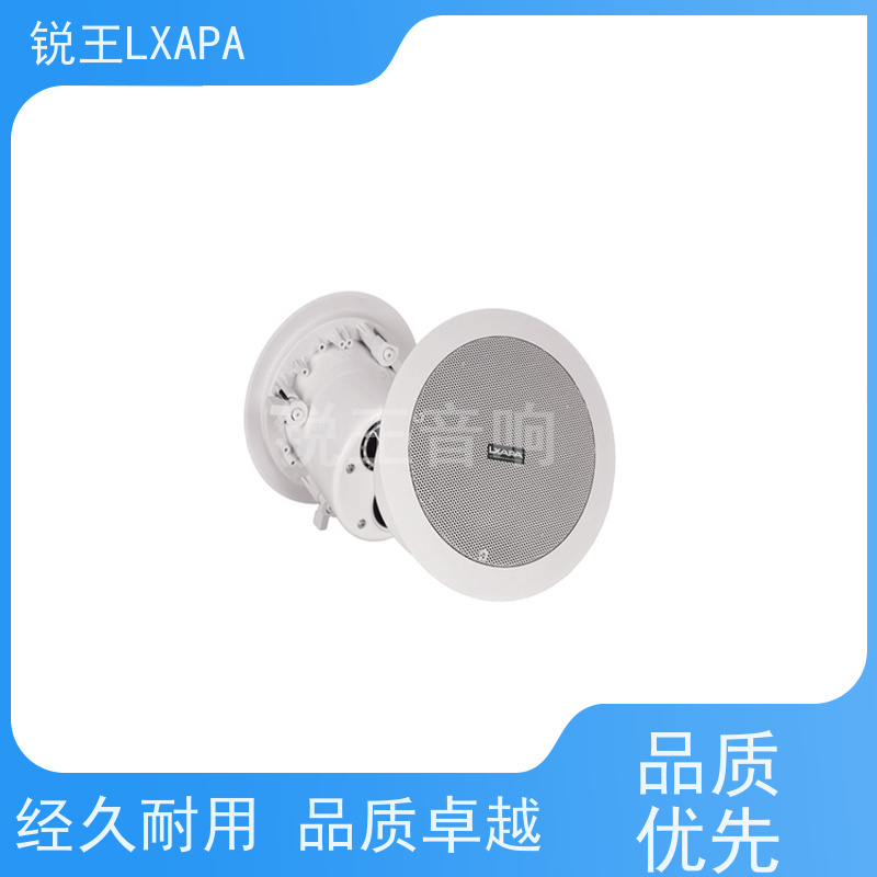 锐王LXAPA 仿真树桩扬声器 景区室内外广播系统设备 天花喇叭吸顶