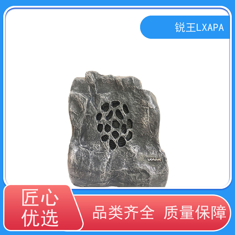 锐王LXAPA 咖啡厅超市店铺 商场天花扬声器 同轴吸顶喇叭